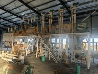 日产50吨玉米糁玉米粉机组