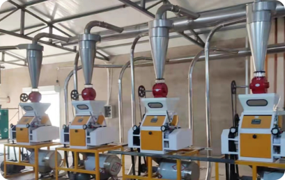 专用小麦粉生产技术（二）