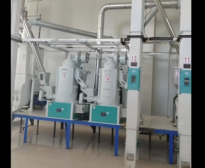 日产50吨小米碾米机组