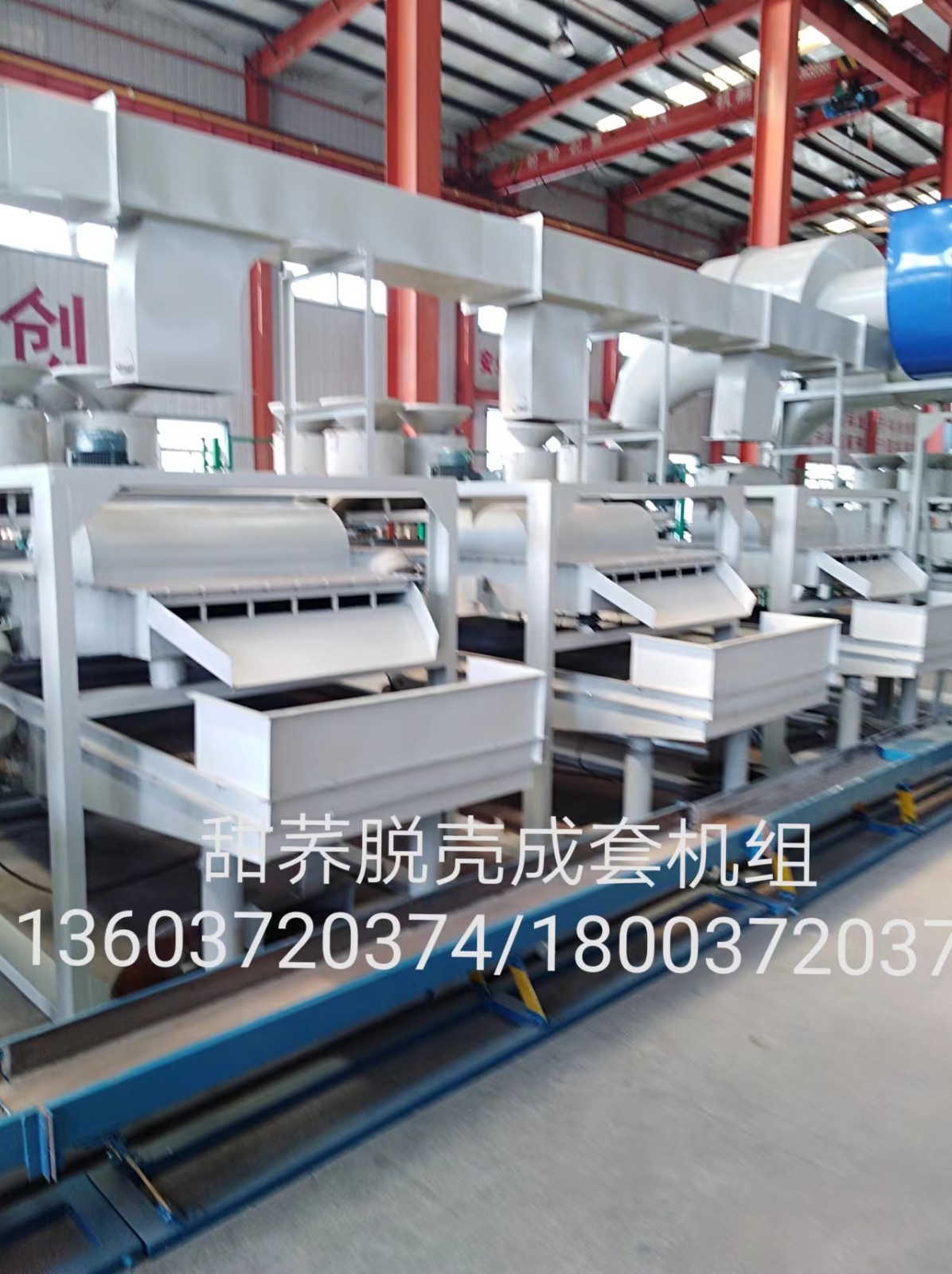 日产10吨荞麦脱壳荞麦米机组